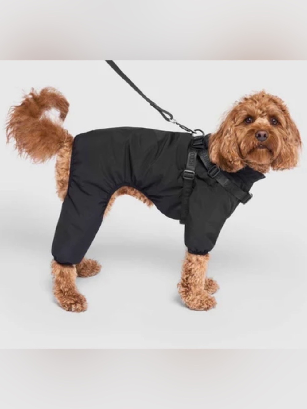 Canada Pooch Harness Snow Suit, Black - Size 22